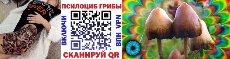 Псилоцибиновые грибы прущие грибы  ссылка на мегу ТОР  Дубовка  как найти закладки 